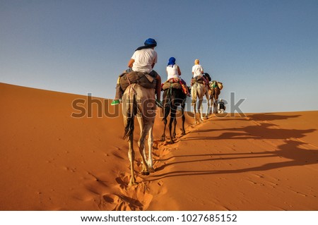 Camel ride at Erg Chebbi - Sahara desert - Morocco Royalty-Free Stock Photo #1027685152