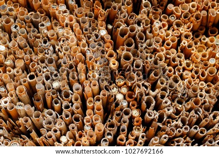 Close up picture with pile of straw taken in a farm shed. Dried material for thatching roofs. Natural colored rustic background with pattern of small pipes with selective focus.