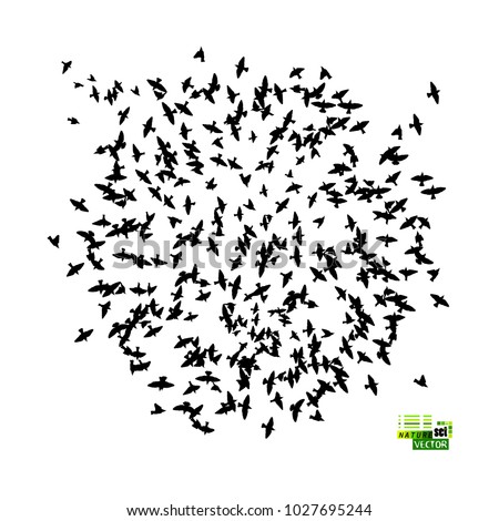 Silhouette of a flock of flying birds. Vector
