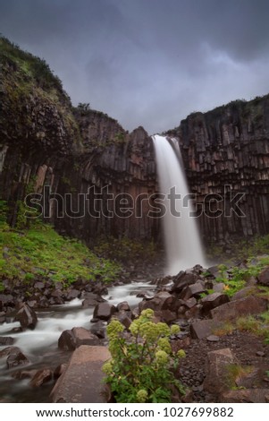 Svartifoss (Black Falls) waterfall in summer, Skaftafell, Vatnajkull National Park, South Iceland