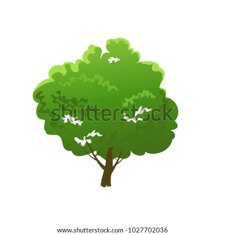 Cartoon tree illustration. Summer or spring seasonal image. Nature element for landscape design. Eco style.