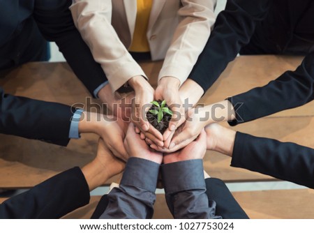 Unity of businesspeople protecting small sprout with hands 