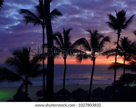 beautiful tropical sky above the beach and palm trees at sunset time
