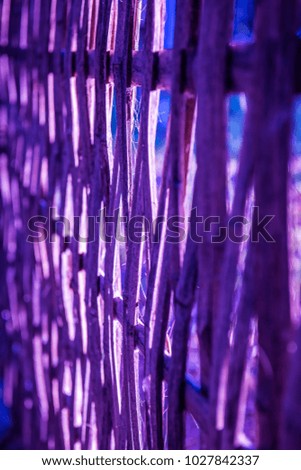 Bamboo background with sunlight in evening time, Thailand.