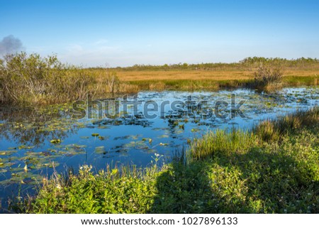 Beautiful and picturesque Everglades National Park in Homestead, Florida.  Everglades National Park is also a International Biosphere Reserve and  UNESCO World Heritage Site.