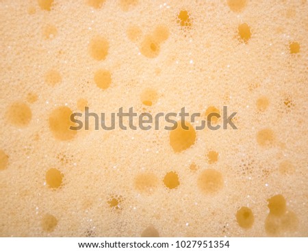 Texture of Kitchen Sponge