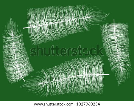 Beautiful Hand Drawn Beard Feather Isolated. White Fluff. Feather for Wallpaper, Illustration, Carnival, Masquerade, Invitation, Paper, Textile. Decoration Element for Your Design.