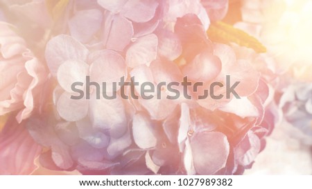 Blurred image, beautiful purple color flower bouquet with sun light and vintage color tone process for love romance background