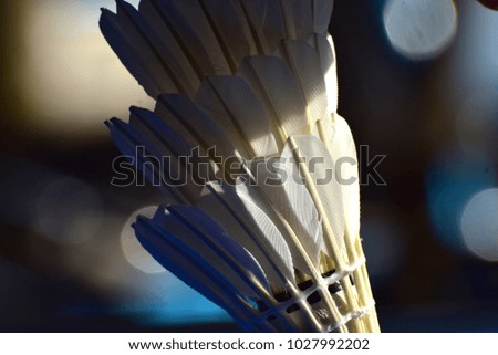 Unique badminton corks stack isolated sports objects stock photo
