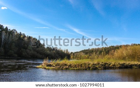 ?lanted island in the middle of a river with a forest and a blue sky in the background