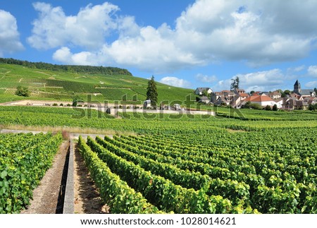 famous Village of Oger in Champagne region near Epernay,France Royalty-Free Stock Photo #1028014621