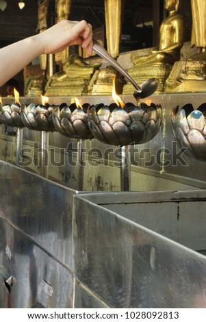 Hand's woman scoop and pour oil in steel lotus at temple(Thai tradition belive to pary for buddha )
