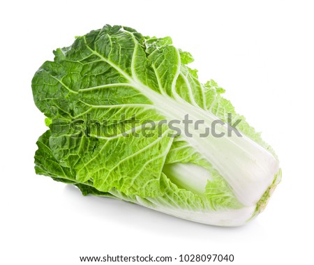fresh chinese cabbage on a white background Royalty-Free Stock Photo #1028097040