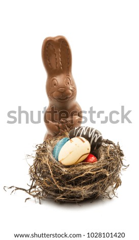 chocolate bunny isolated on white background