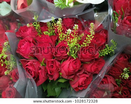 Vibrant red roses close up in a bouquet 