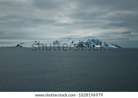 half moon island, antarctic peninsula, antarctica