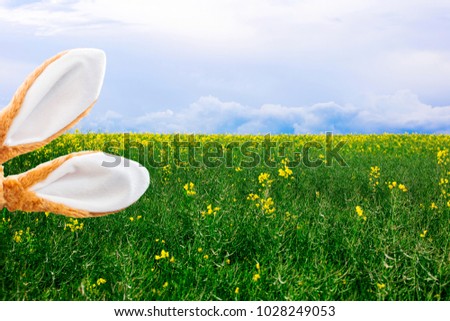 easter bunny ears in front of flower field with blue sky
