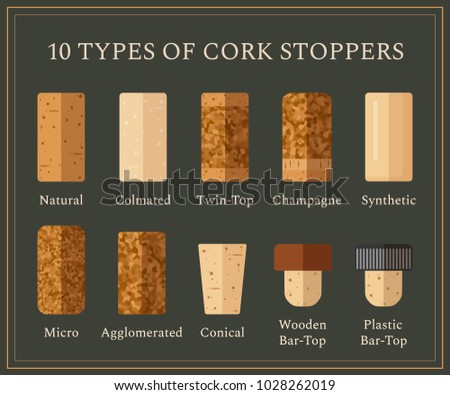 10 types of cork stoppers. Vector set with different isolated corks and title for each kind on dark background. Flat design illustration for presentation or promo material. Royalty-Free Stock Photo #1028262019