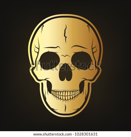 Gold skull with crossbones. Vector illustration. Golden human skull on dark background.