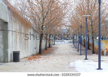 City: Empty Street with Falling Leaves Along two Sides during Winter in Salt Lake City Public Library, Utah.