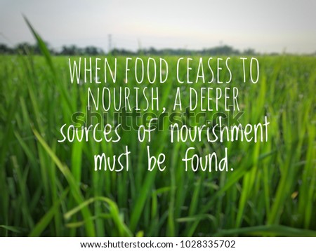 Motivational quotes "when food ceases to nourish, a deeper sources of nourishment must be found." Background of blurry paddy field.