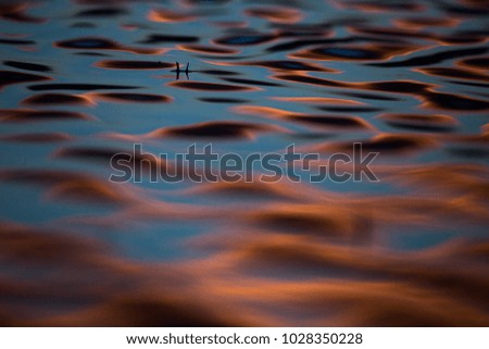 sunset lake reflections, water movement, 