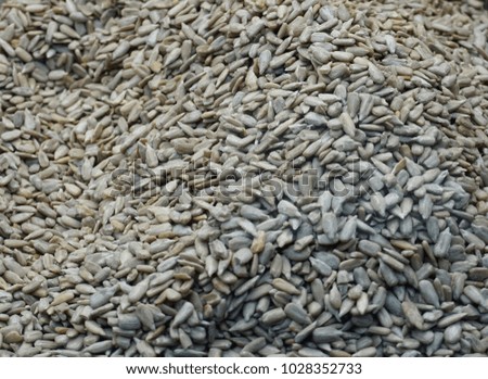 sunflower seeds picture