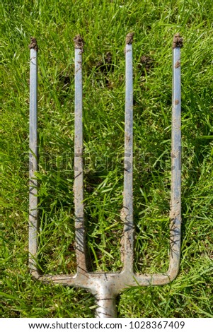 Pitch Fork on Grass