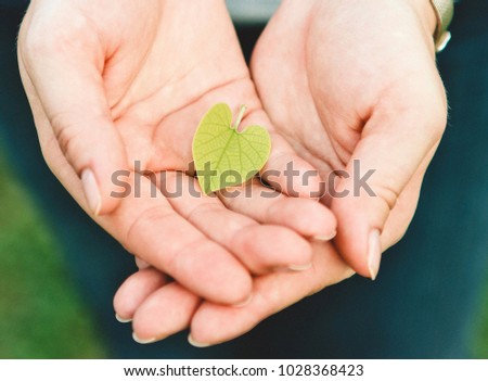 green leaf in female hands