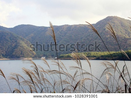 Travel around Japan in autumn. Landscape with grass, lake and mountains. Forest's covered mountains in Japan.