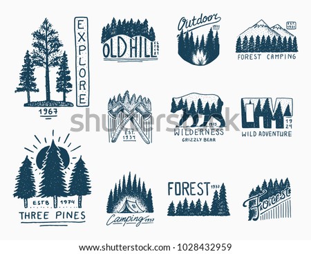 camping badges, mountains coniferous forest and wooden logo. wild nature. landscapes with pine trees and hills. emblem tent tourist, travel for labels. engraved hand drawn in old vintage sketch