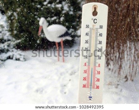 Thermometer with Celsius degrees scale on snowy park evergreen shrub or bush background