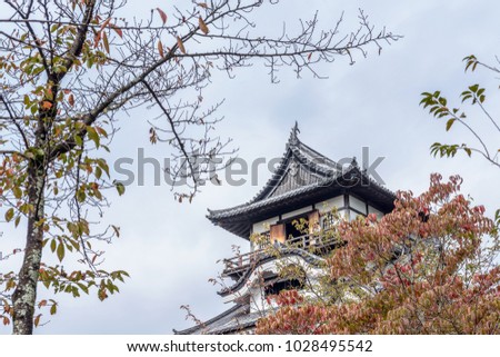 Autumn scenery of the Inuyama-jo castle