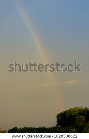 Rainbow over forest, primary rainbow, second-order rainbow, bright picture, rainbow palette. Atmospheric phenomenon, optical phenomenon, weather event.