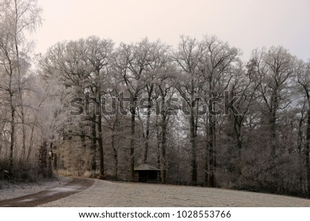 Frozen landscape, Odenwald, Germany