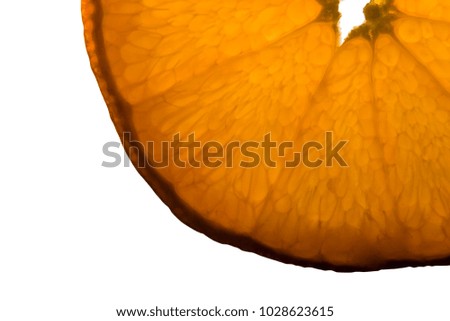 Orange slice on whit background