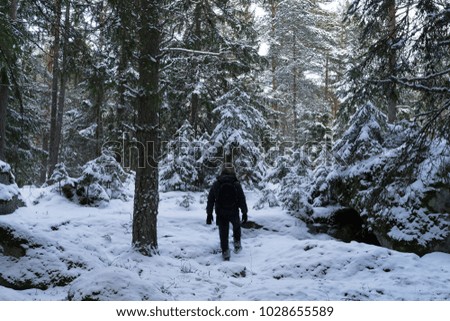 Man walking outdoors at winter in Swedish forest. Beautiful nature and landscape photo of Scandinavia. Guy wearing bag on back and warm hat on head. Nice, peaceful dusk evening with trees and snow.