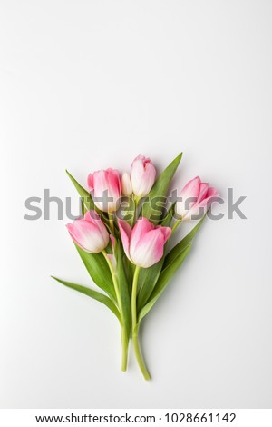 Pink tulip flowers bouquet on white background. Flat lay, top view. Royalty-Free Stock Photo #1028661142
