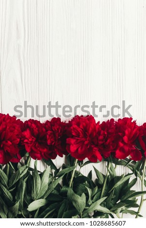 beautiful red peonies blooming bouquet on white wooden rustic background, flat lay. greeting card with space for text. hello spring. happy womens day. blooming flowers top view