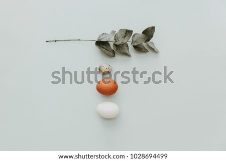 Flat lay minimal composition with eggs on pastel background 