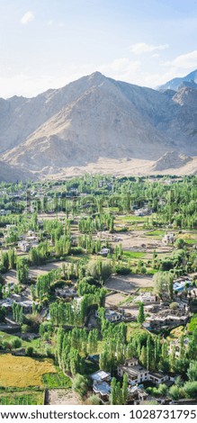 Top view of Leh Ladakh city landscape with green tree, mountain and blue sky as background, Leh Ladakh - India