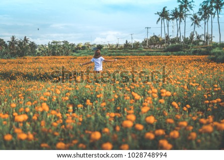 Pretty woman walking in marigold field in the valley. Tropical island of Bali, Indonesia.