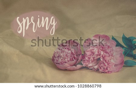 Flowers on the pastel background with text "Spring".