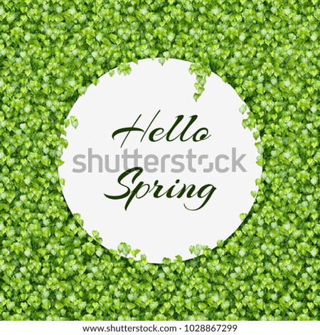 Blank circle paper over green leaves background. Space for text