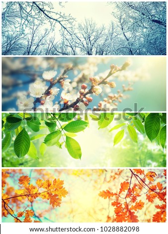 Four seasons. A pictures that shows four different pictures representing the four seasons: Spring, summer, autumn and winter Royalty-Free Stock Photo #1028882098