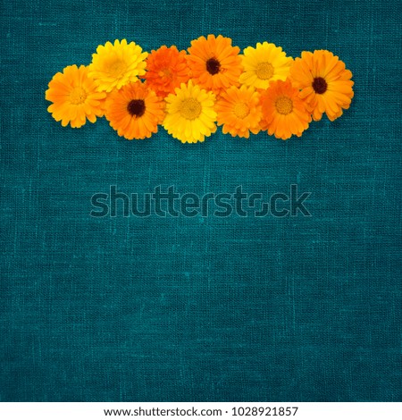 Beautiful Floral Web banner. Floral arrangement of yellow and orange of calendula flowers on dark turquoise grunge canvas background. Flat lay. Art Background or flyer with copy space