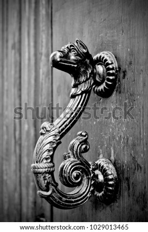 antique door with handles to open in the shape of a burnished and aged metal dragon