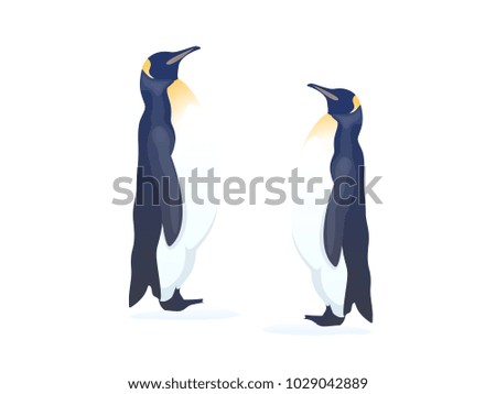Large and small birds. Vector illustration