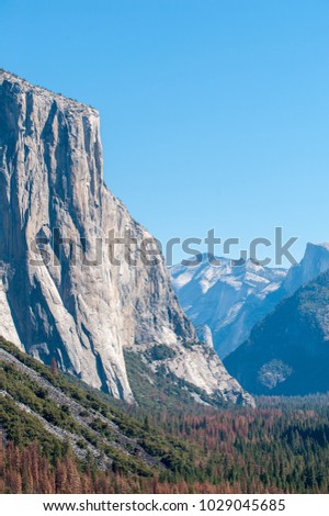 El Capitan rock in Yosemite National Park in USA in sunny day