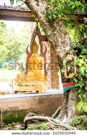 Behind buddha statue in the temple. Face,head,Golden Image of Buddha,behind is green soft focus,religion art concept.